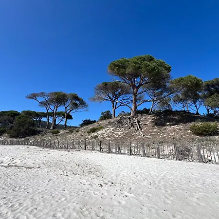 Apartment T2 Neuf A 800 M De La De Cala Rossa N 80 Lecci