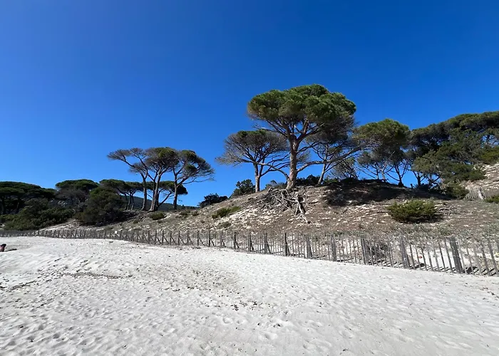 شقة T2 Neuf A 800 M De La De Cala Rossa N 80 ليسي