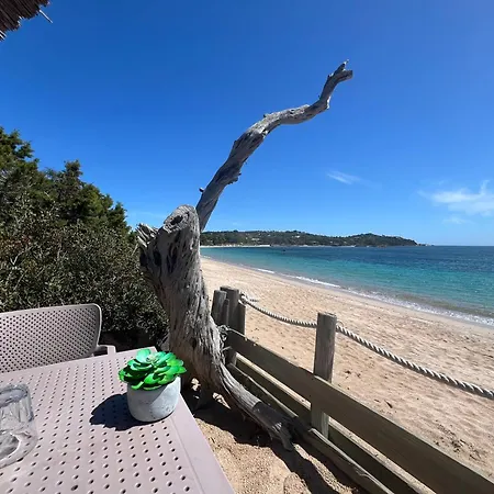 T2 Neuf A 800 M De La De Cala Rossa N 80