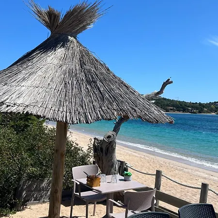 Διαμέρισμα T2 Neuf A 800 M De La De Cala Rossa N 80