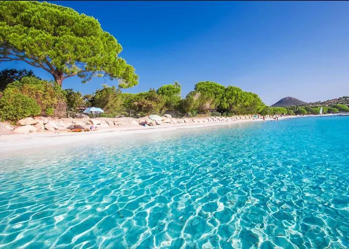 T2 Neuf A 800 M De La De Cala Rossa N 80 Daire *