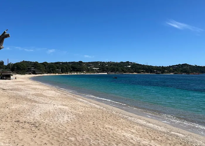 T2 Neuf A 800 M De La De Cala Rossa N 80 *