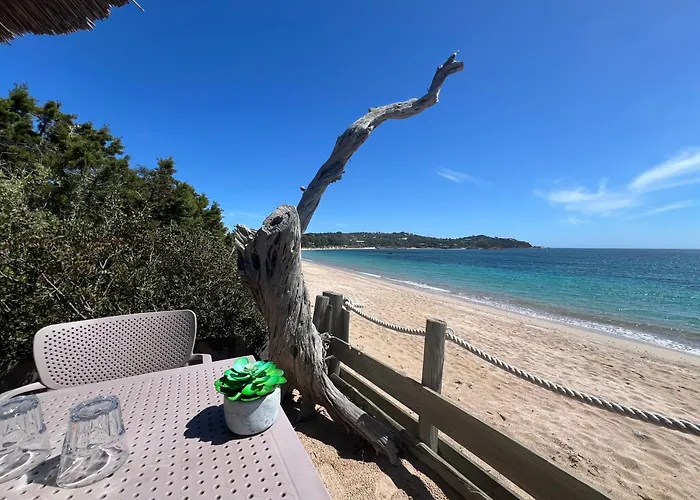 T2 Neuf A 800 M De La De Cala Rossa N 80